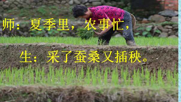 幻灯片11.jpg